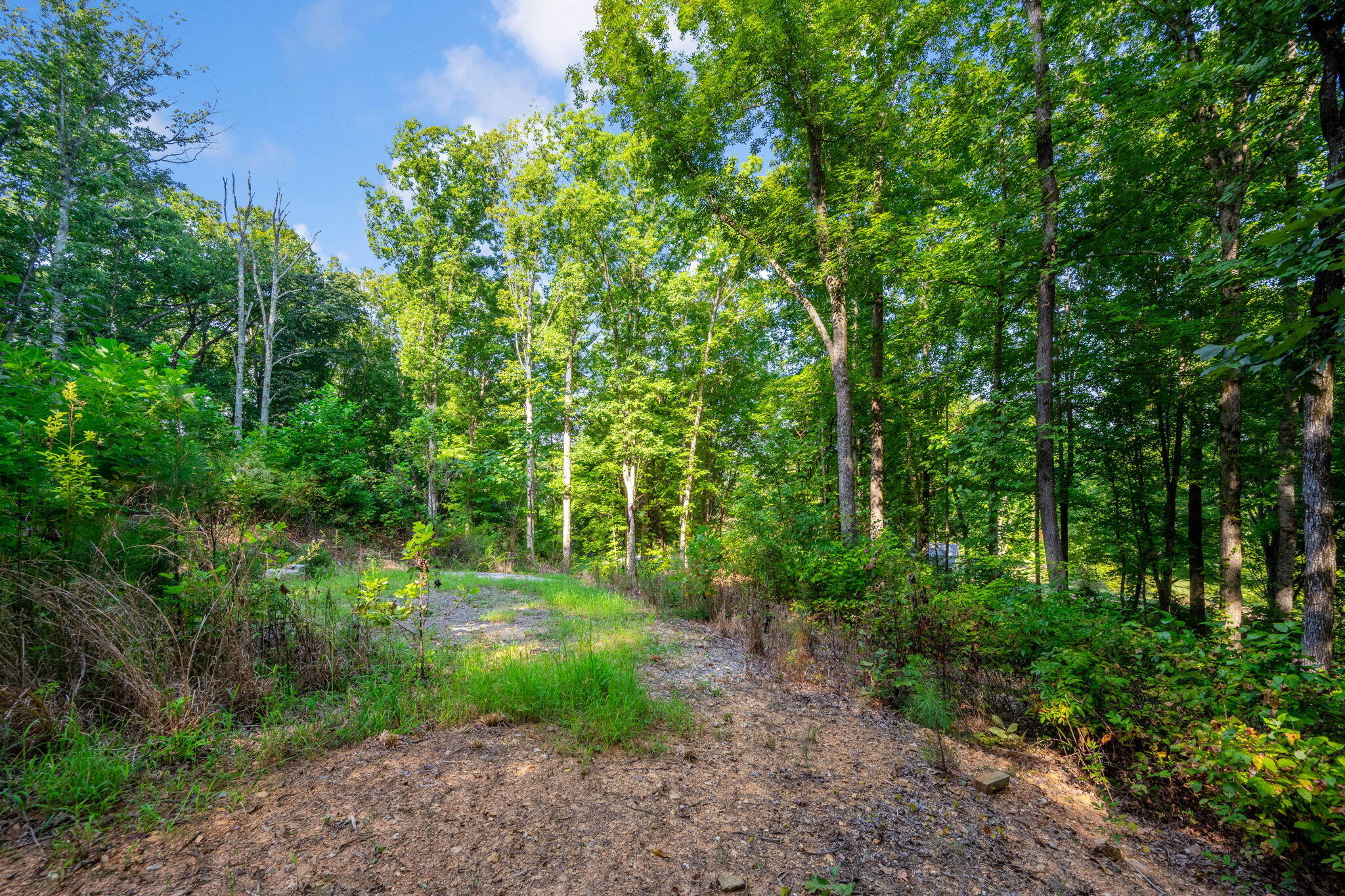 805 Lead Mine Valley Road Southwest Cleveland, TN 37311 - Photo 29 of 36 38-web-or-mls-DSC_3895