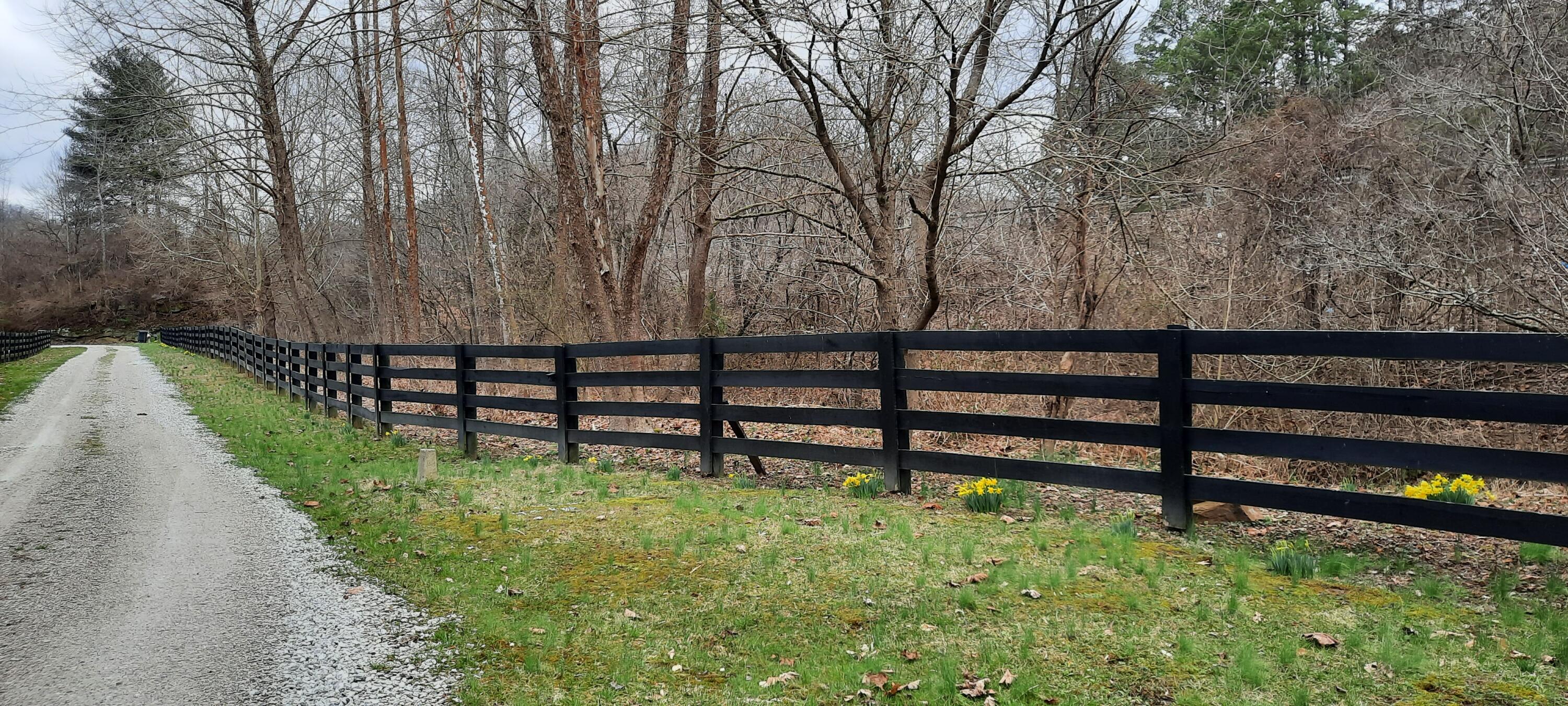 2135 Urban Creek Road Manchester, KY 40962 - Photo 44 of 81 20240227_141823