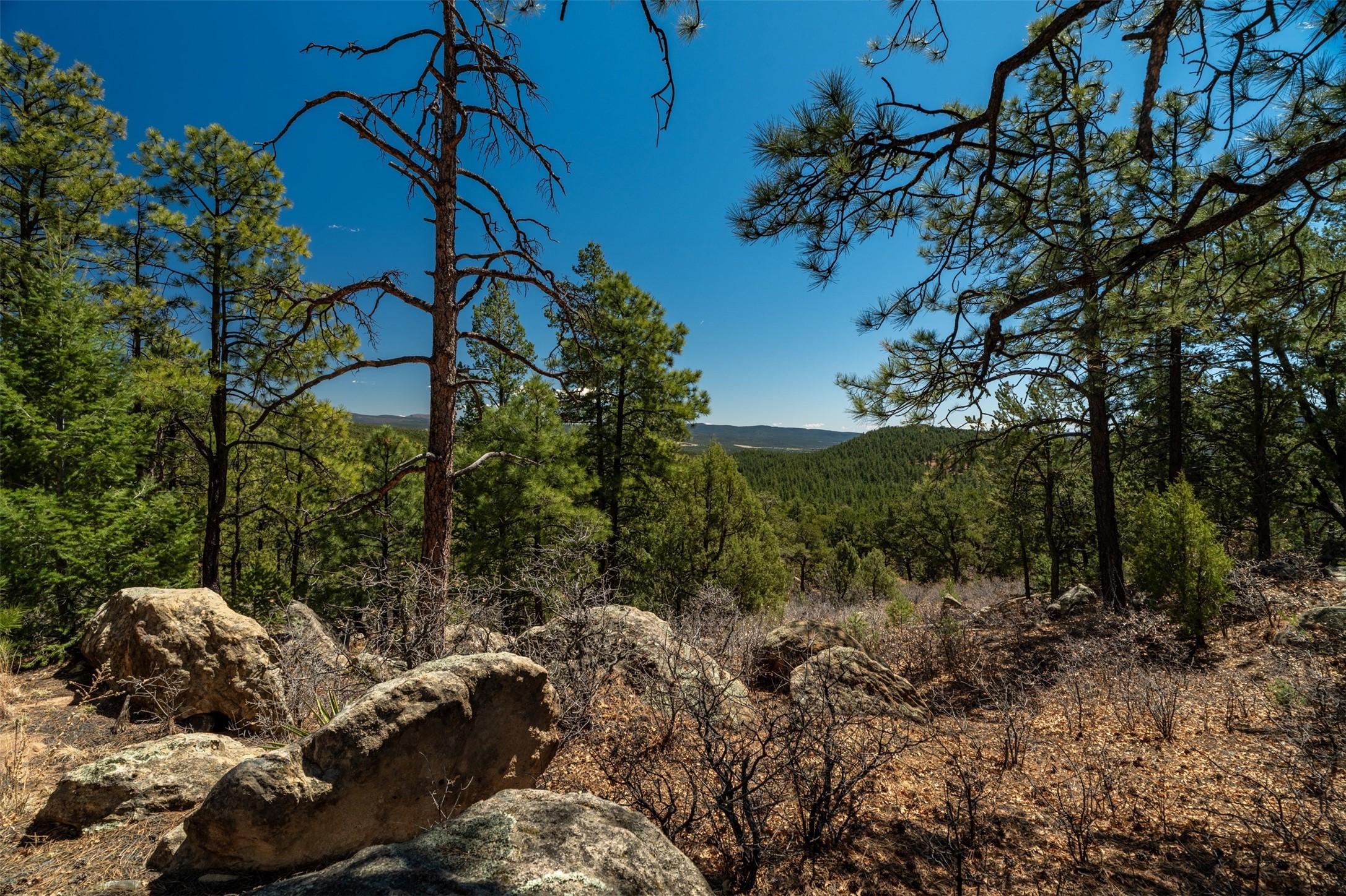 30 Monte La Cueva Road Glorieta, NM 87535 - Photo 58 of 91