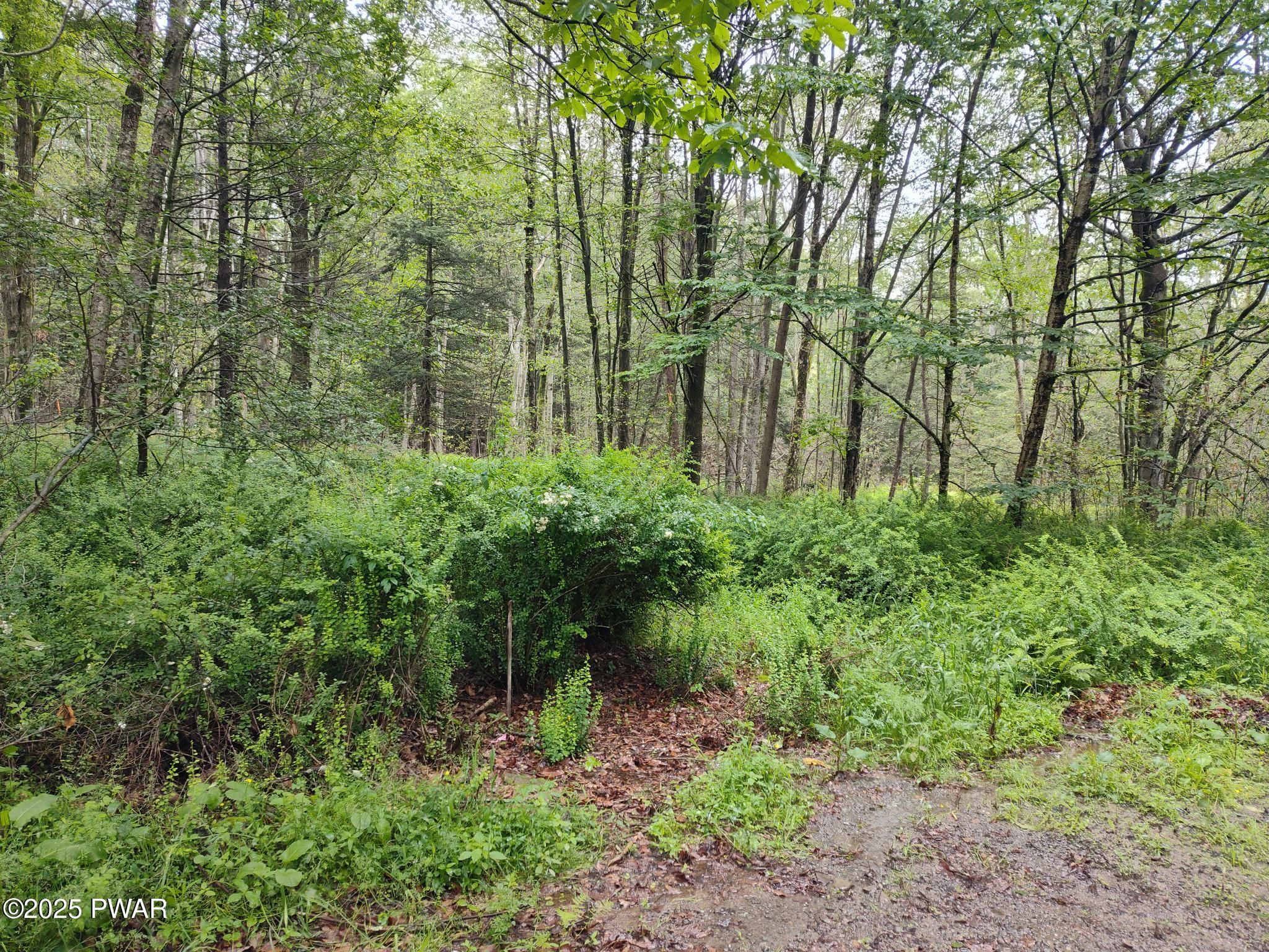 Lot 109 Aka) Gibralter Road Newfoundland, PA 18445 - Photo 19 of 19