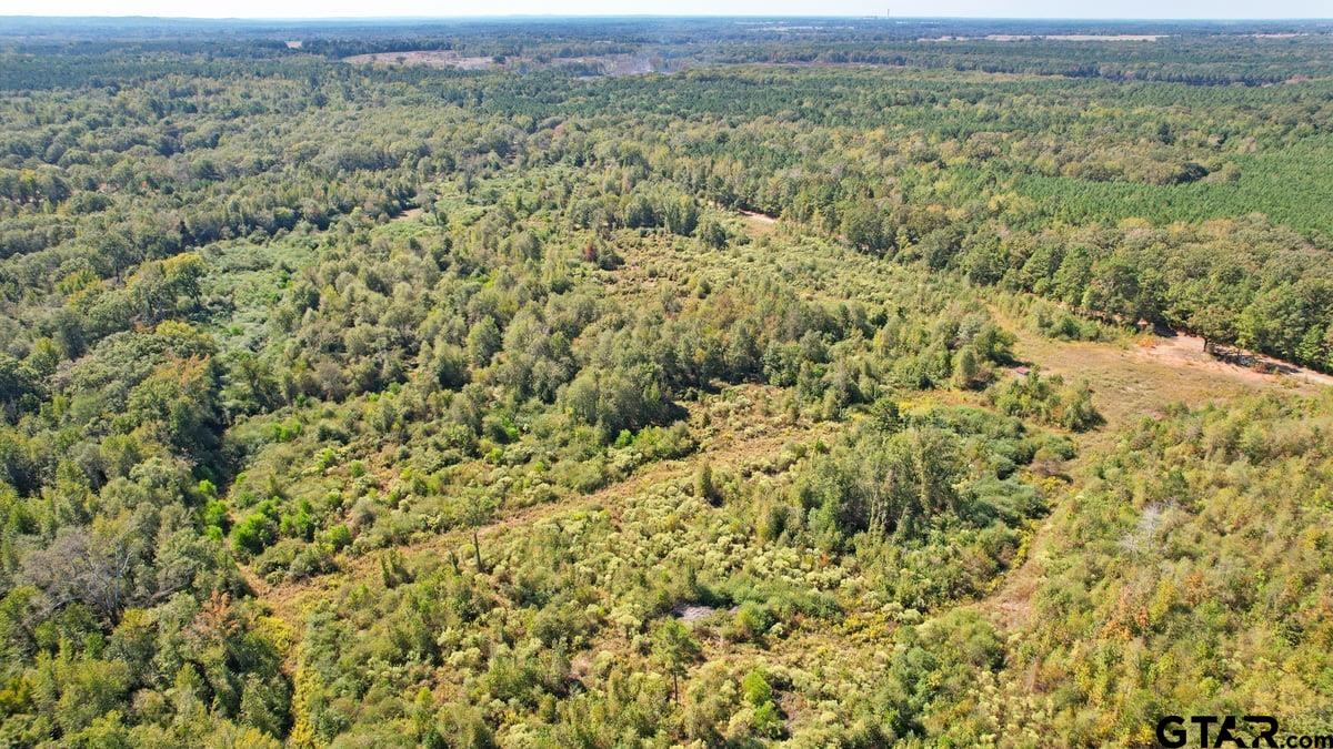 3201 Whitmore Road Omaha, TX 75571 - Photo 11 of 15 a view of a field with a mountain in the background
