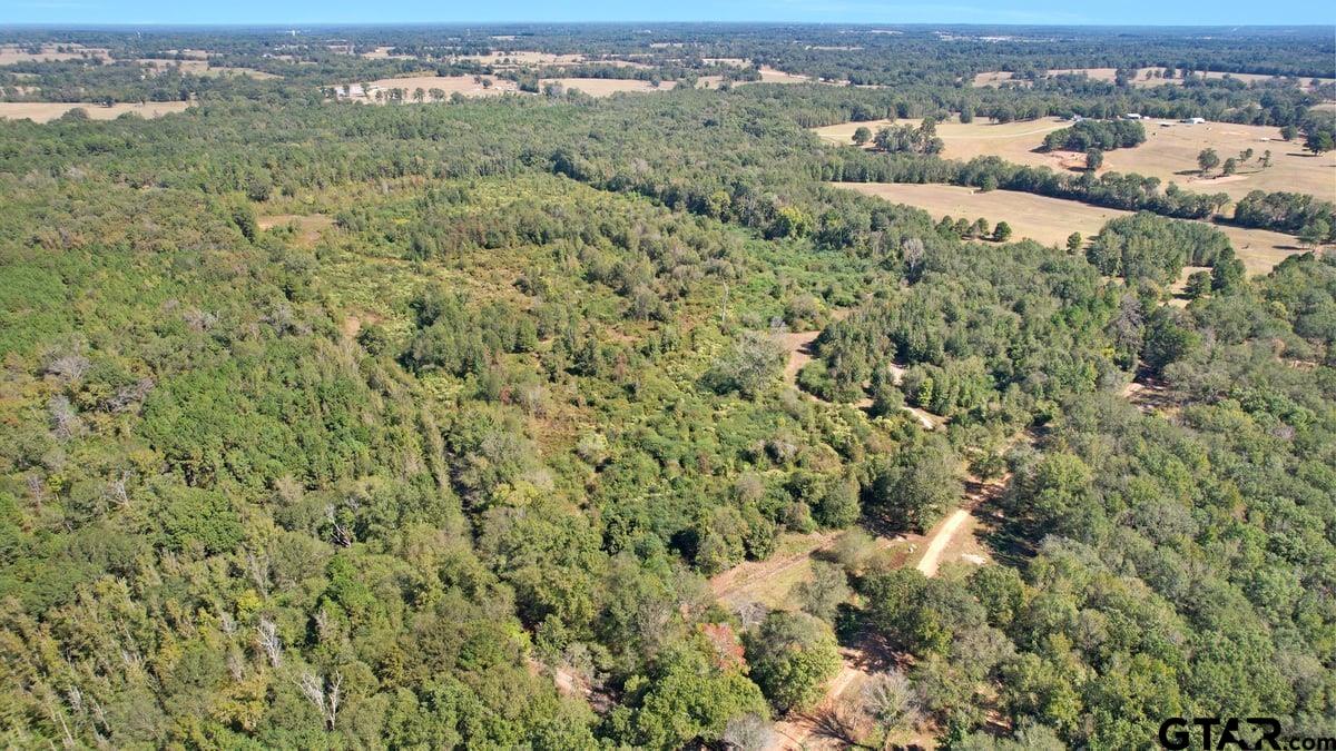 3201 Whitmore Road Omaha, TX 75571 - Photo 13 of 15 an aerial view of residential houses with outdoor space and trees