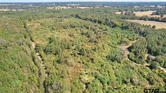 a view of a green field
