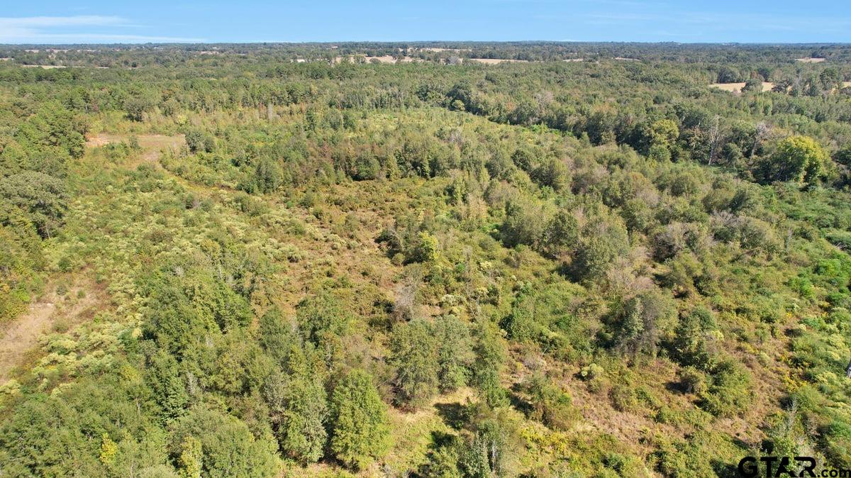 3201 Whitmore Road Omaha, TX 75571 - Photo 15 of 15 a view of a city with lush green forest