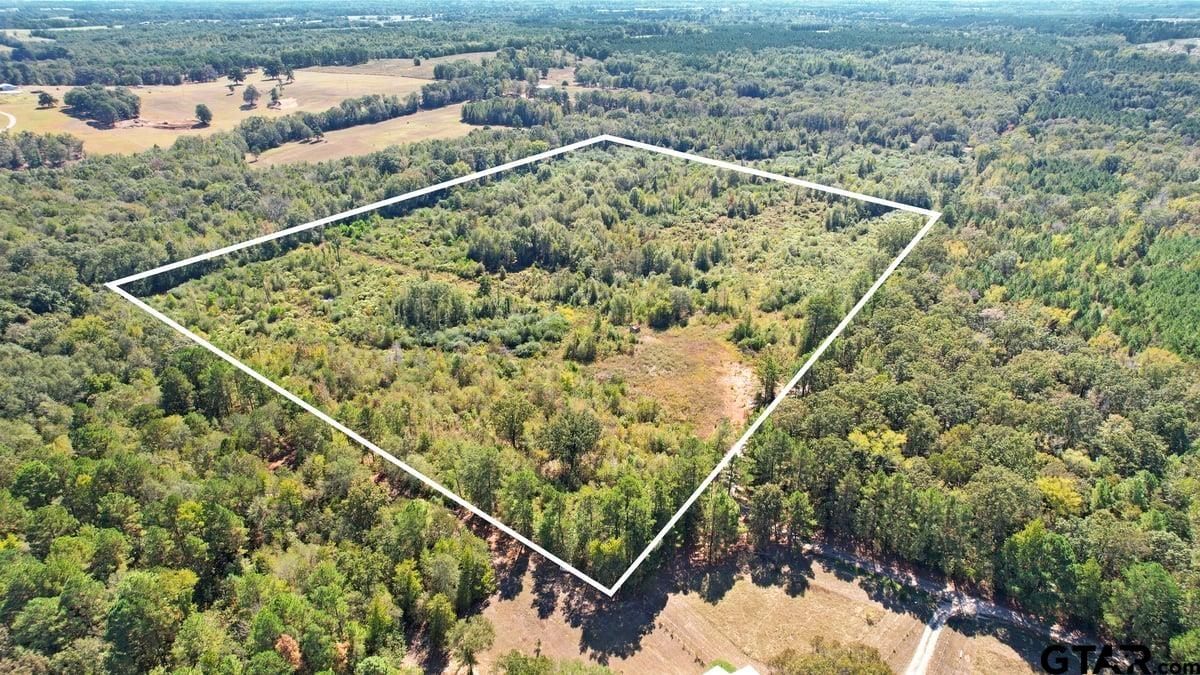 3201 Whitmore Road Omaha, TX 75571 - Photo 2 of 15 a view of a small yard