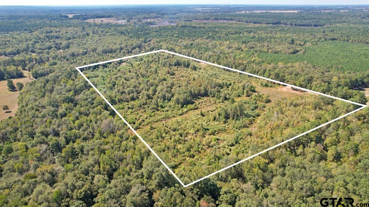 3201 Whitmore Road Omaha, TX 75571 - Photo 3 of 15 a view of a balcony with an outdoor space