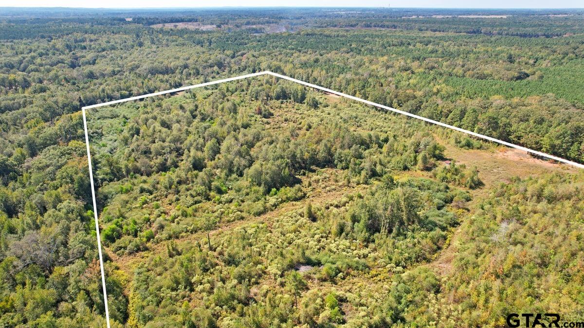 3201 Whitmore Road Omaha, TX 75571 - Photo 4 of 15 a view of a green field with a mountain in the background