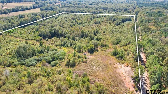 a view of a green field