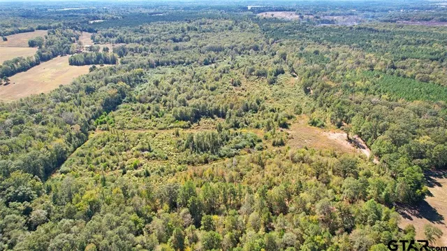 an aerial view of houses with yard
