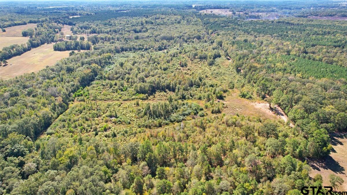 3201 Whitmore Road Omaha, TX 75571 - Photo 9 of 15 an aerial view of houses with yard