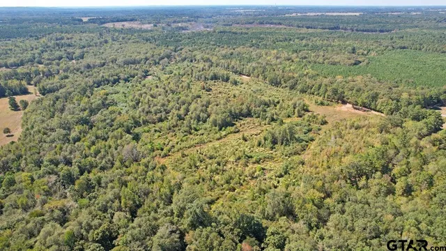 a view of a lush green field with a mountain in the background