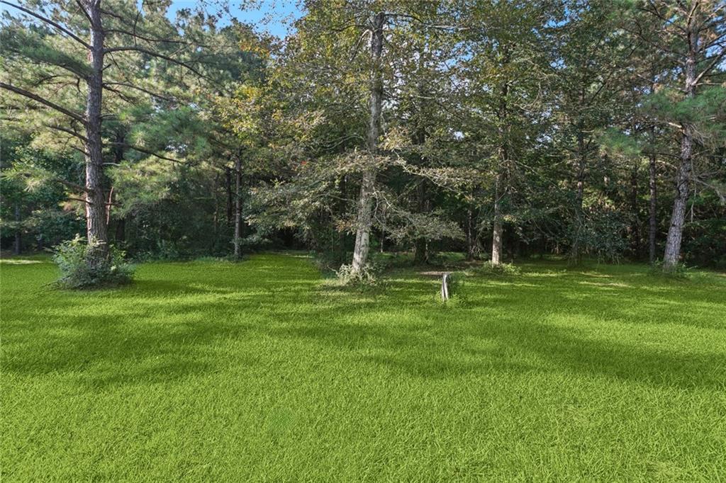 15086 Thompson Road Folsom, LA 70437 - Photo 19 of 21