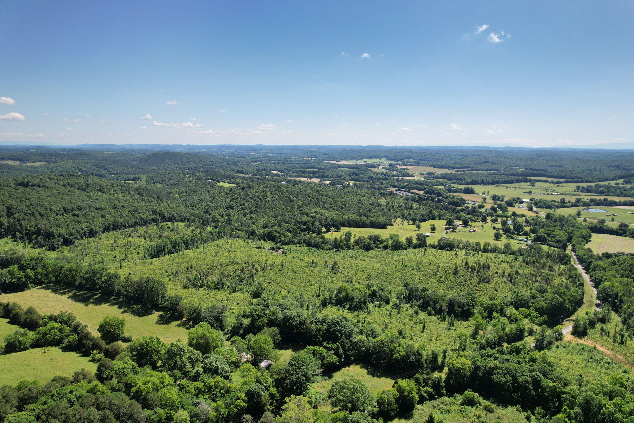 0 Big Sewee Road Decatur, TN 37322 - Photo 12 of 13 50-web-or-mls-DJI_0353