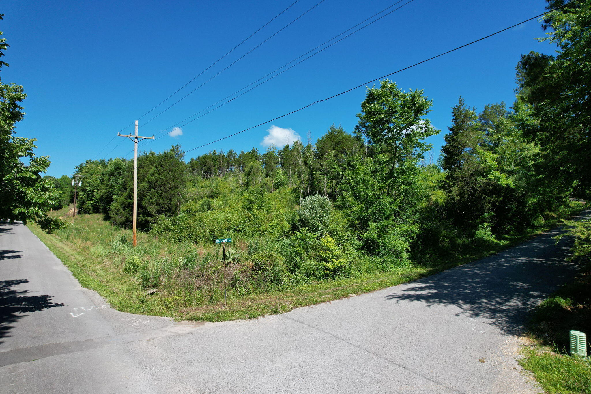 0 Big Sewee Road Decatur, TN 37322 - Photo 5 of 13 43-web-or-mls-DJI_0345