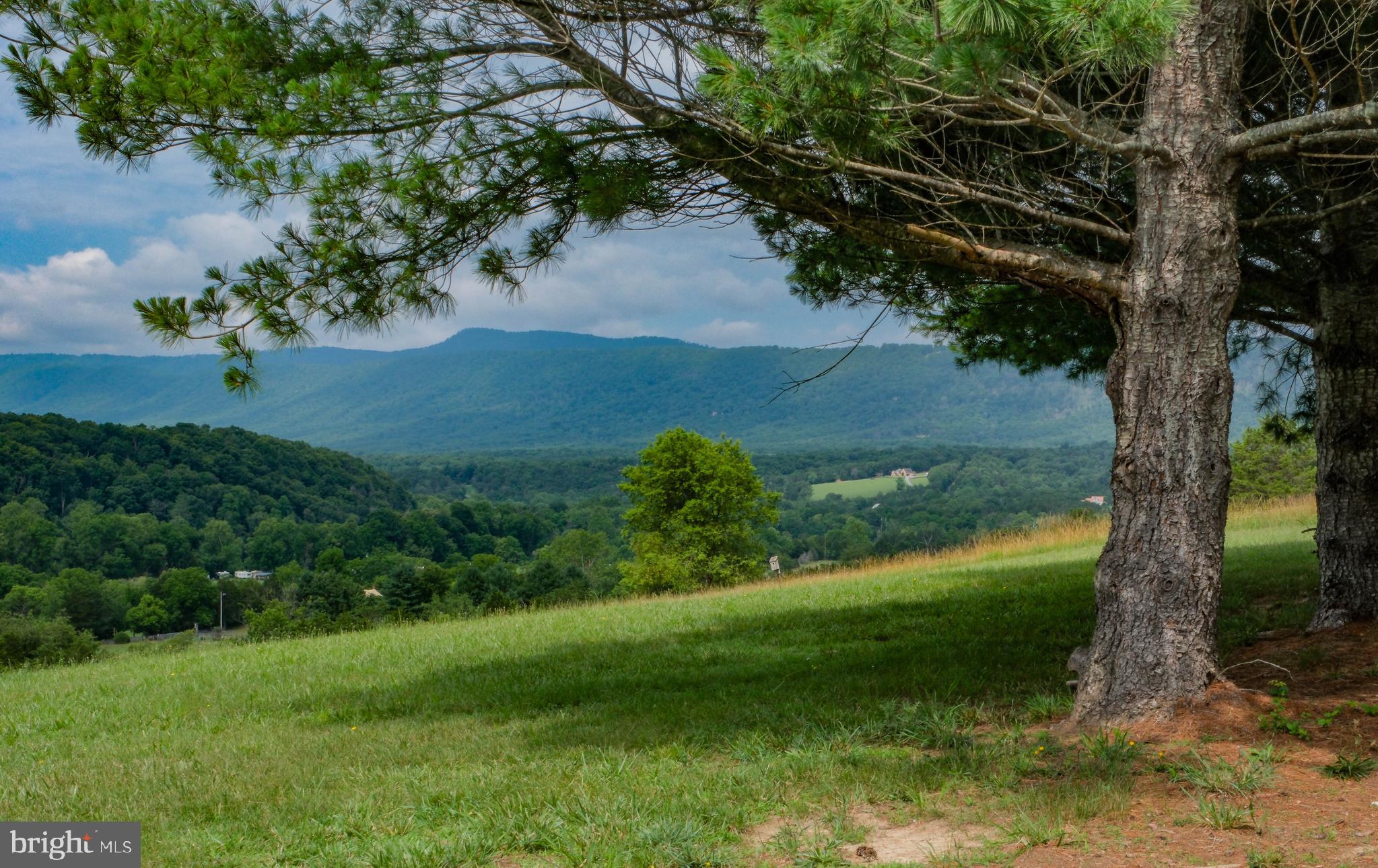 217 Silver Bell Lane Luray, VA 22835 - Photo 7 of 103 Mountain views