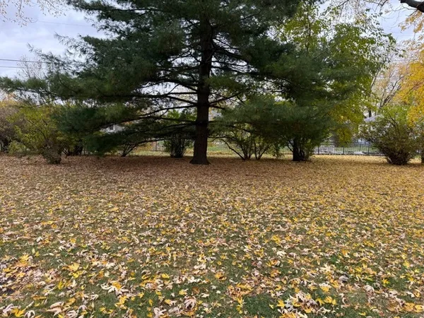 a view of backyard space