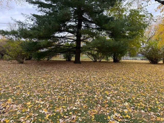 $2,500 | 220 May Street, Manhattan, IL 60442