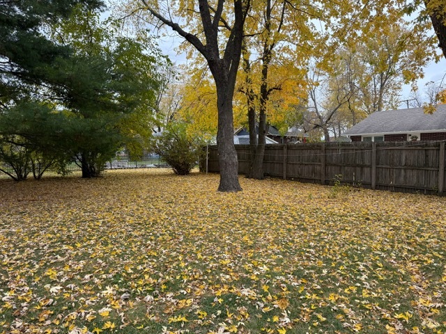 220 May Street Manhattan, IL 60442 - Photo 15 of 16 a view of backyard space