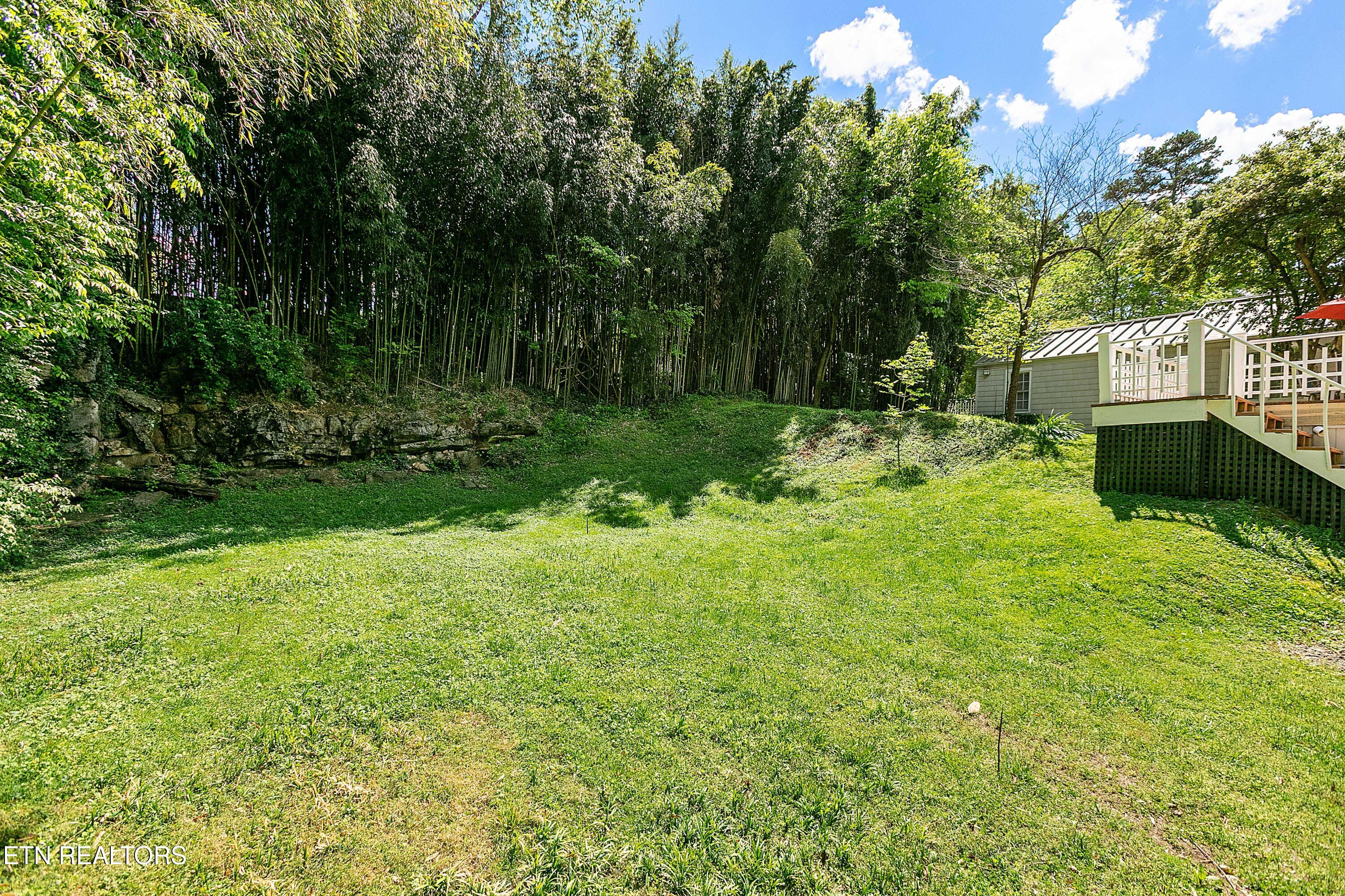 1108 Bluff View Road Southwest Knoxville, TN 37919 - Photo 41 of 45 Rear Yard