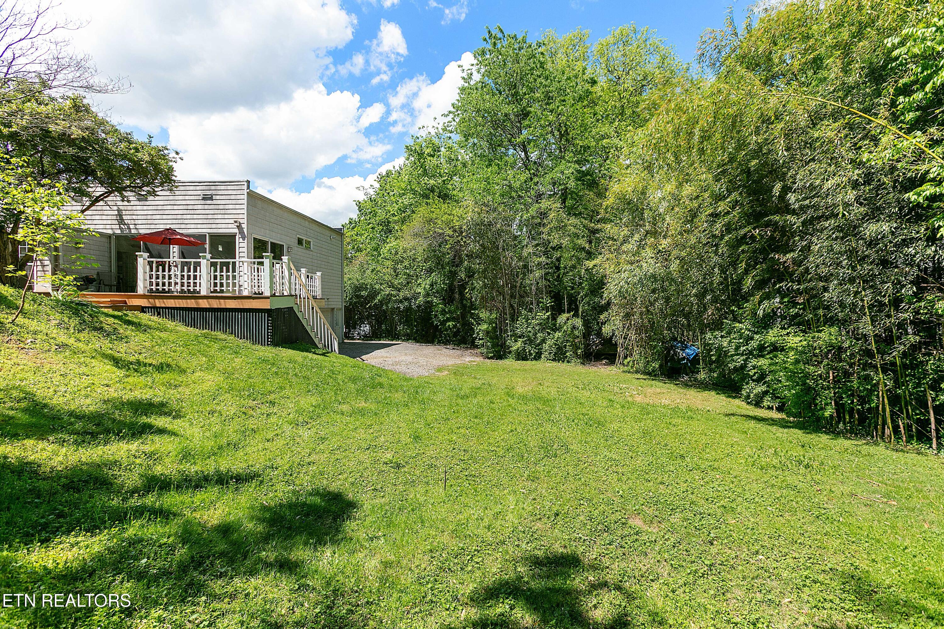 1108 Bluff View Road Southwest Knoxville, TN 37919 - Photo 42 of 45 Rear View