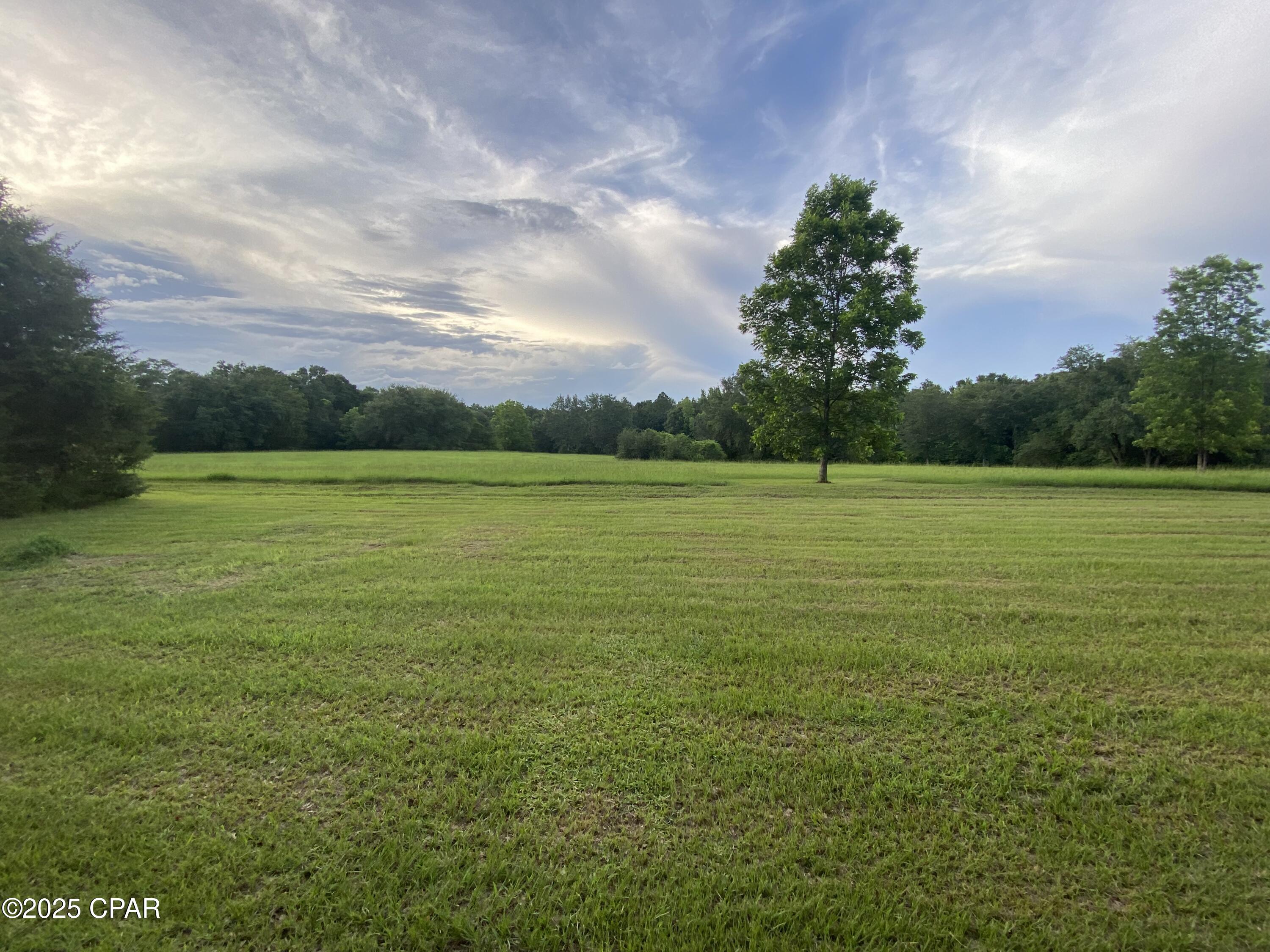 2038 Caney Branch Road Bonifay, FL 32425 - Photo 18 of 38 Gallery Image 18