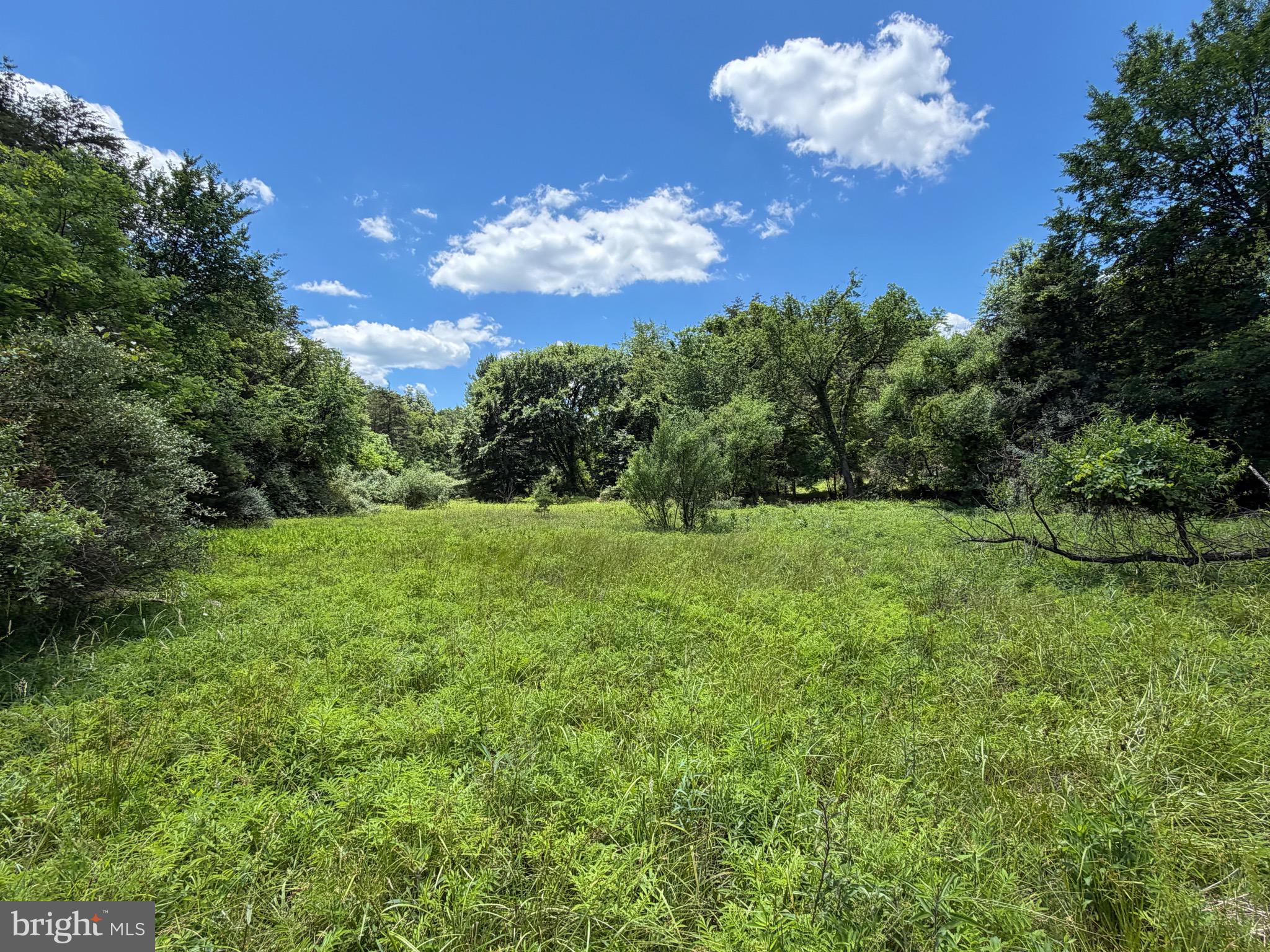 511 Chickadee Road Purgitsville, WV 26852 - Photo 2 of 99