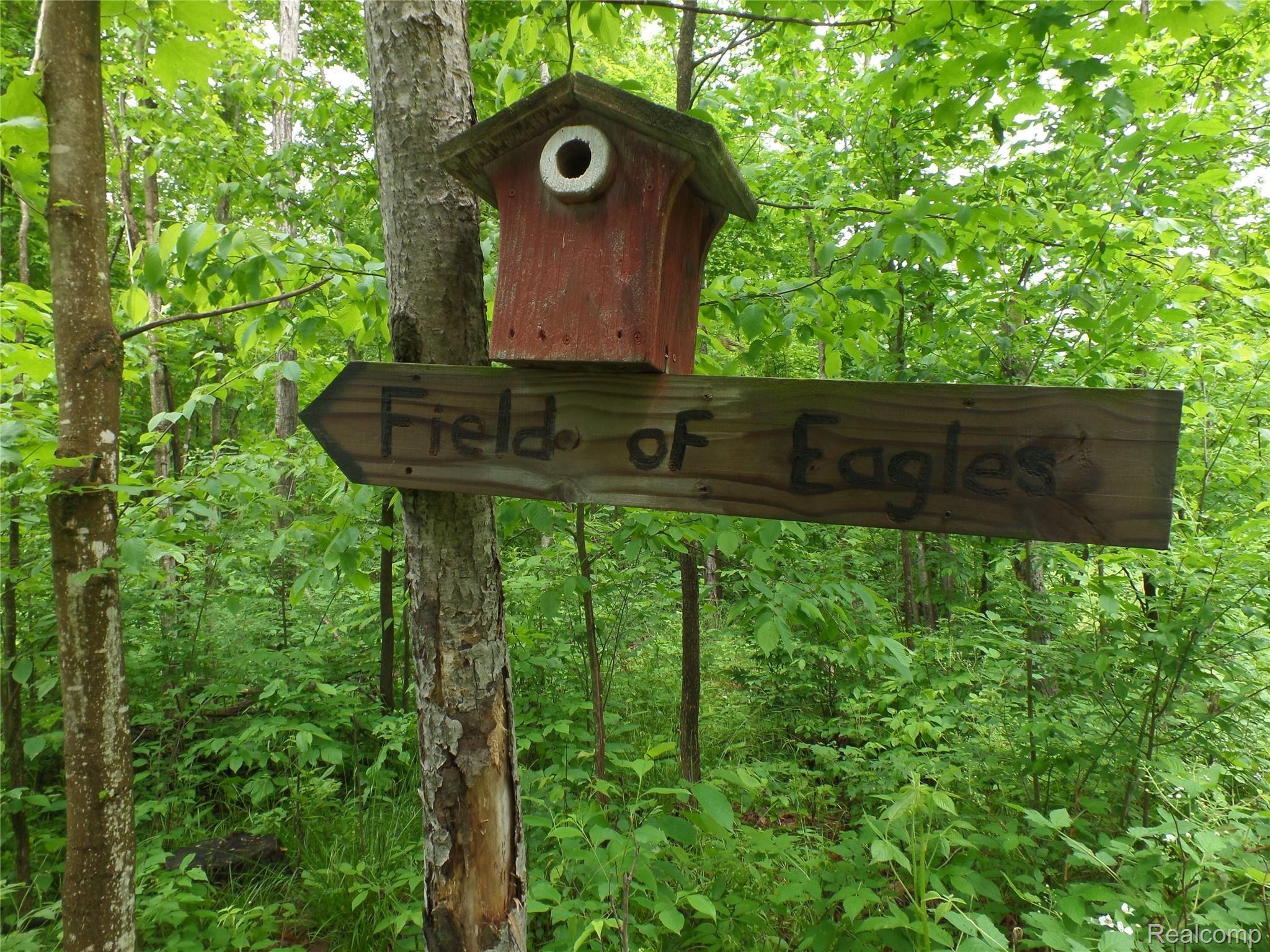 13445 Shippy Road Southwest Fife Lake, MI 49633 - Photo 42 of 80 SAM_9283.JPG