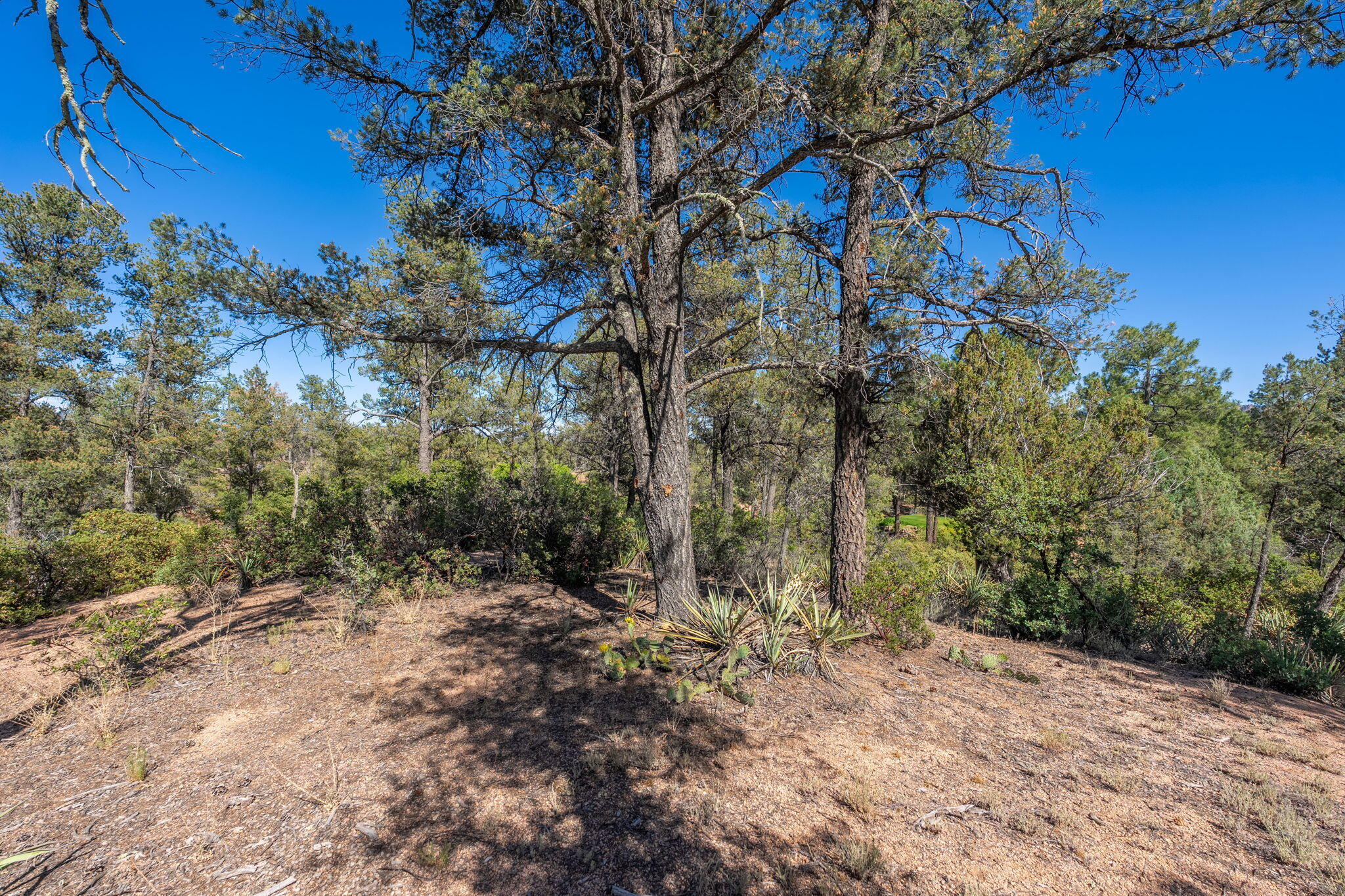 506 South Primeval Payson, AZ 85541 - Photo 37 of 48