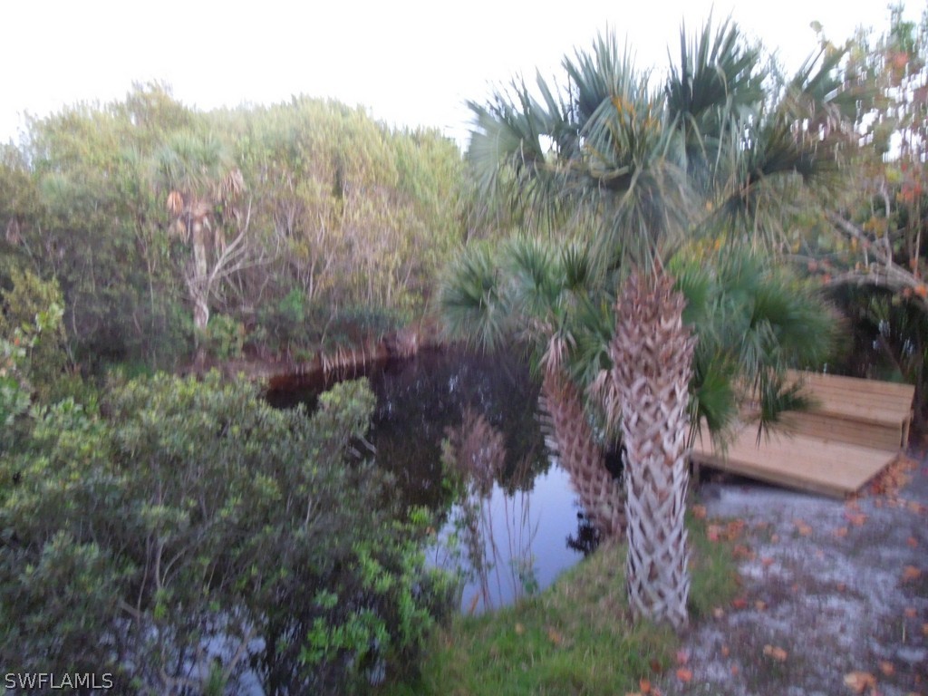 828 Rabbit Road Sanibel, FL 33957 - Photo 5 of 15 a view of a yard in a yard