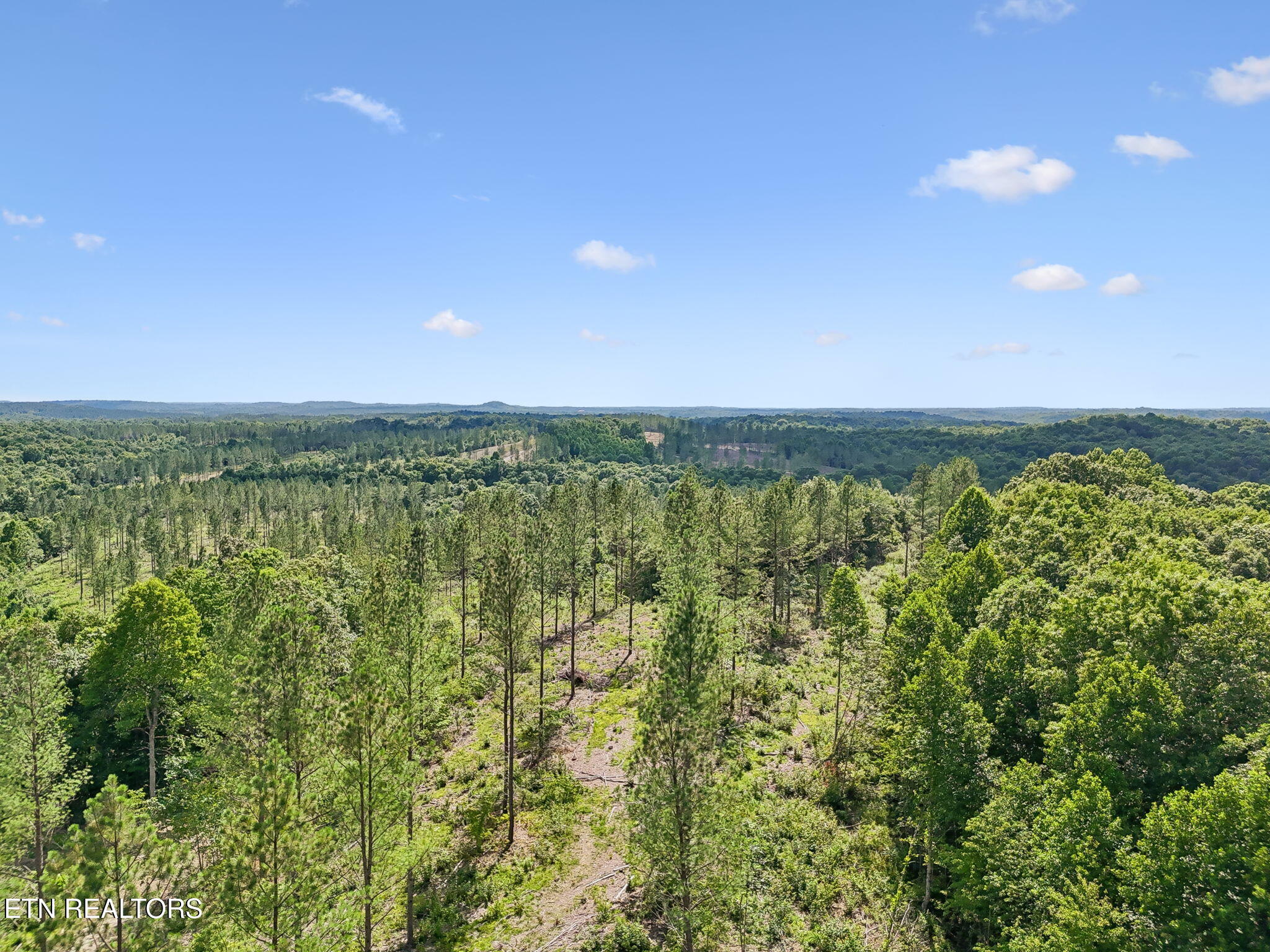 Sheep Ranch Road, Unit 24 Robbins, TN 37852 - Photo 28 of 33 21-Sheep Ranch Rd-021