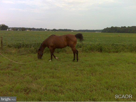 0 Rt 20 Seaford, DE 19973 - Photo 1 of 2 Gallery Image 1