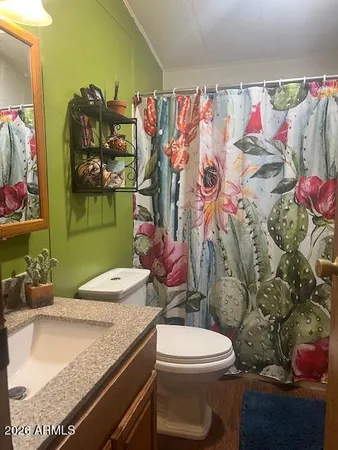 a bathroom with a sink toilet and shower curtain