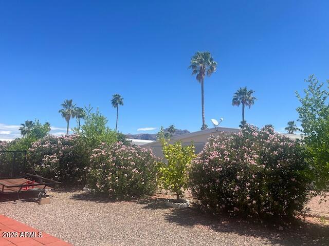 2605 South Tomahawk Road, Unit 170 Apache Junction, AZ 85119 - Photo 30 of 39 The mountain is peaking through