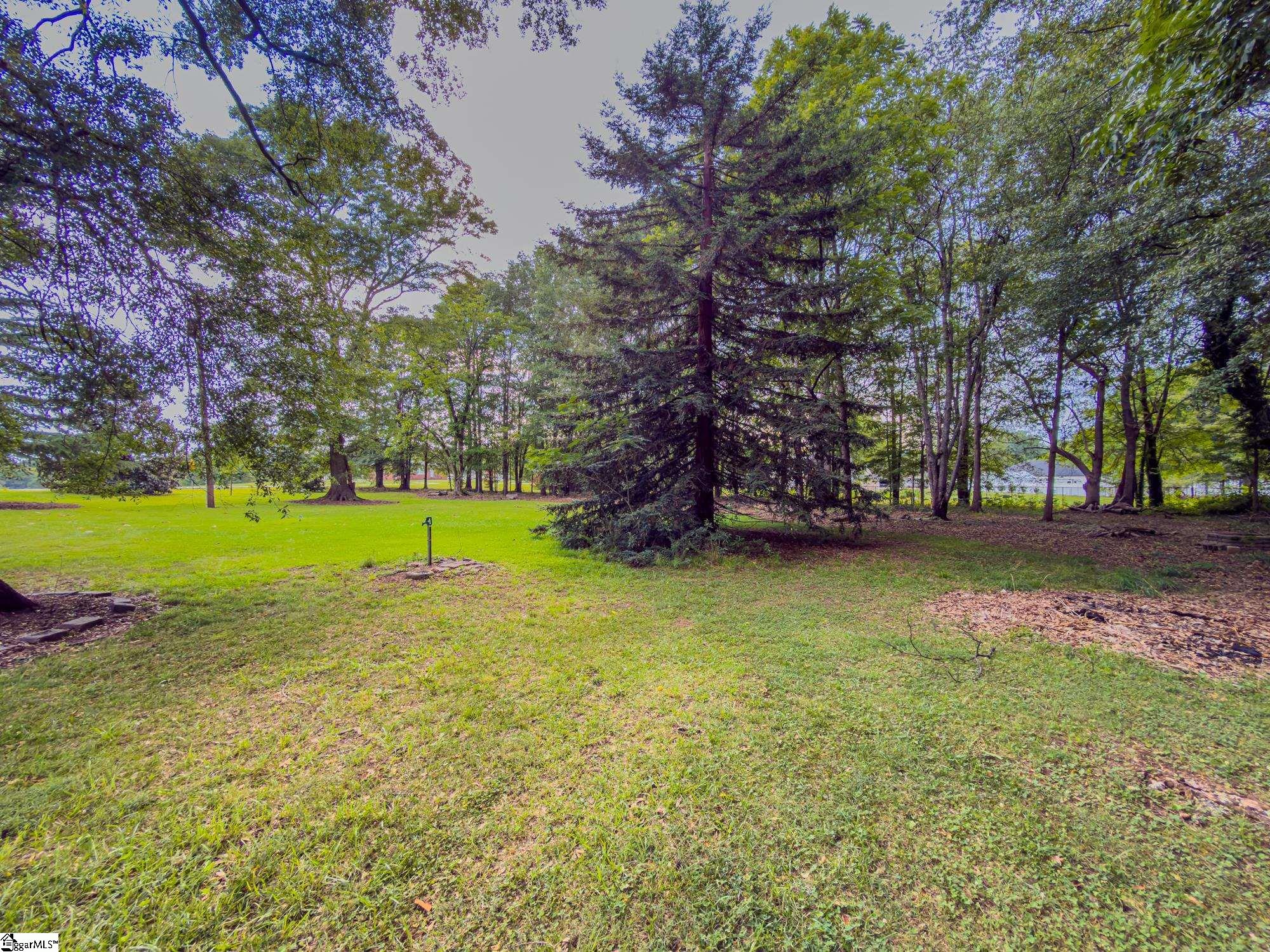 0 New Cut Road Inman, SC 29349 - Photo 4 of 10