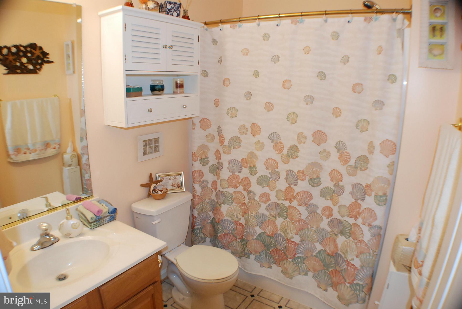 14048 June Roses Lane Sumerduck, VA 22742 - Photo 11 of 30 Main Bath