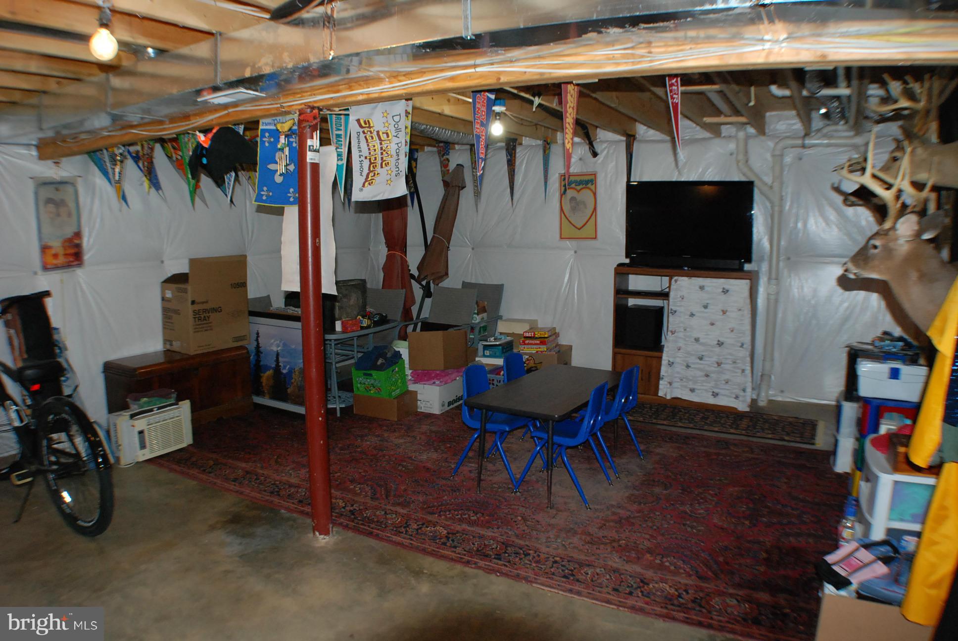 14048 June Roses Lane Sumerduck, VA 22742 - Photo 20 of 30 Basement