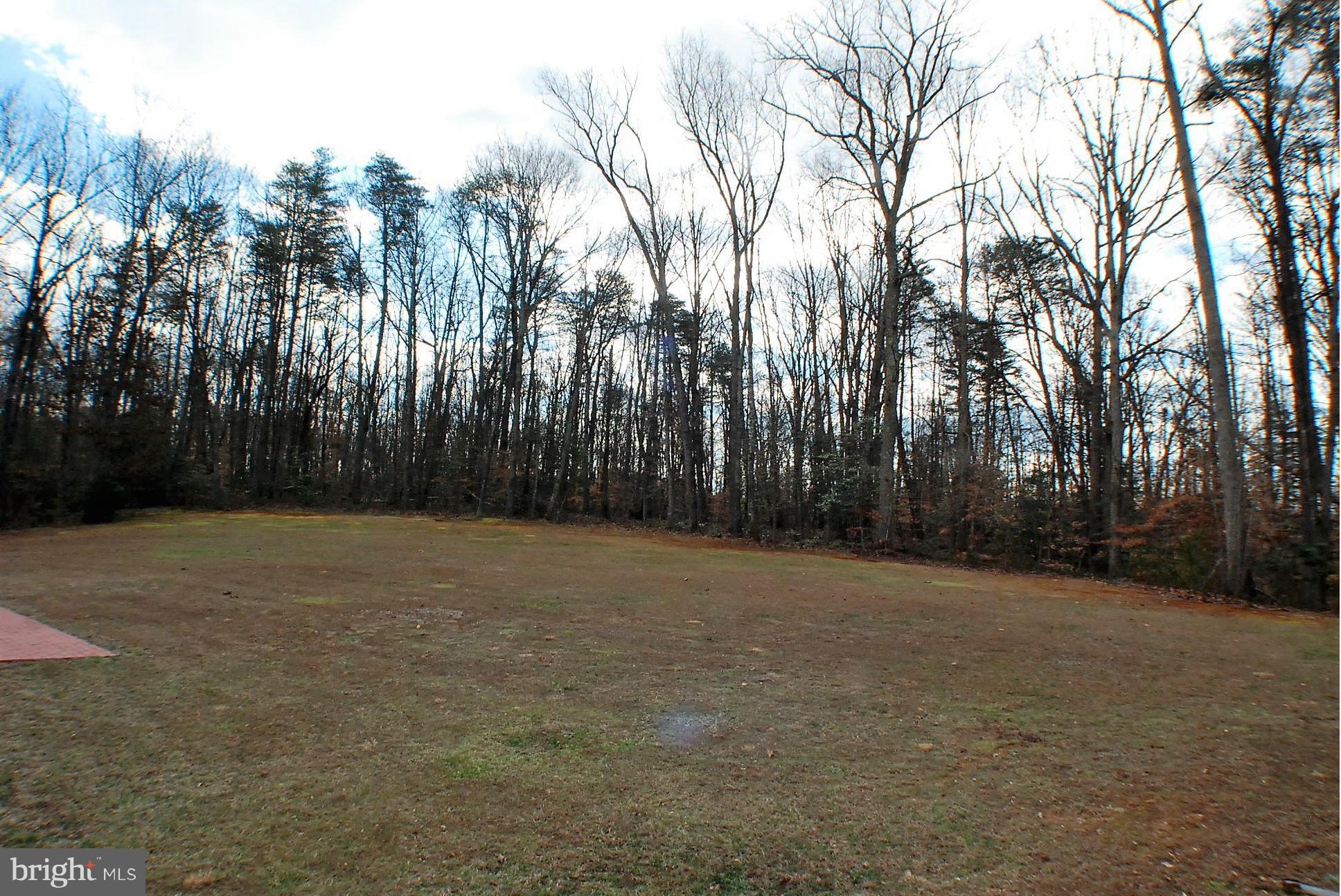14048 June Roses Lane Sumerduck, VA 22742 - Photo 21 of 30 Back Yard View