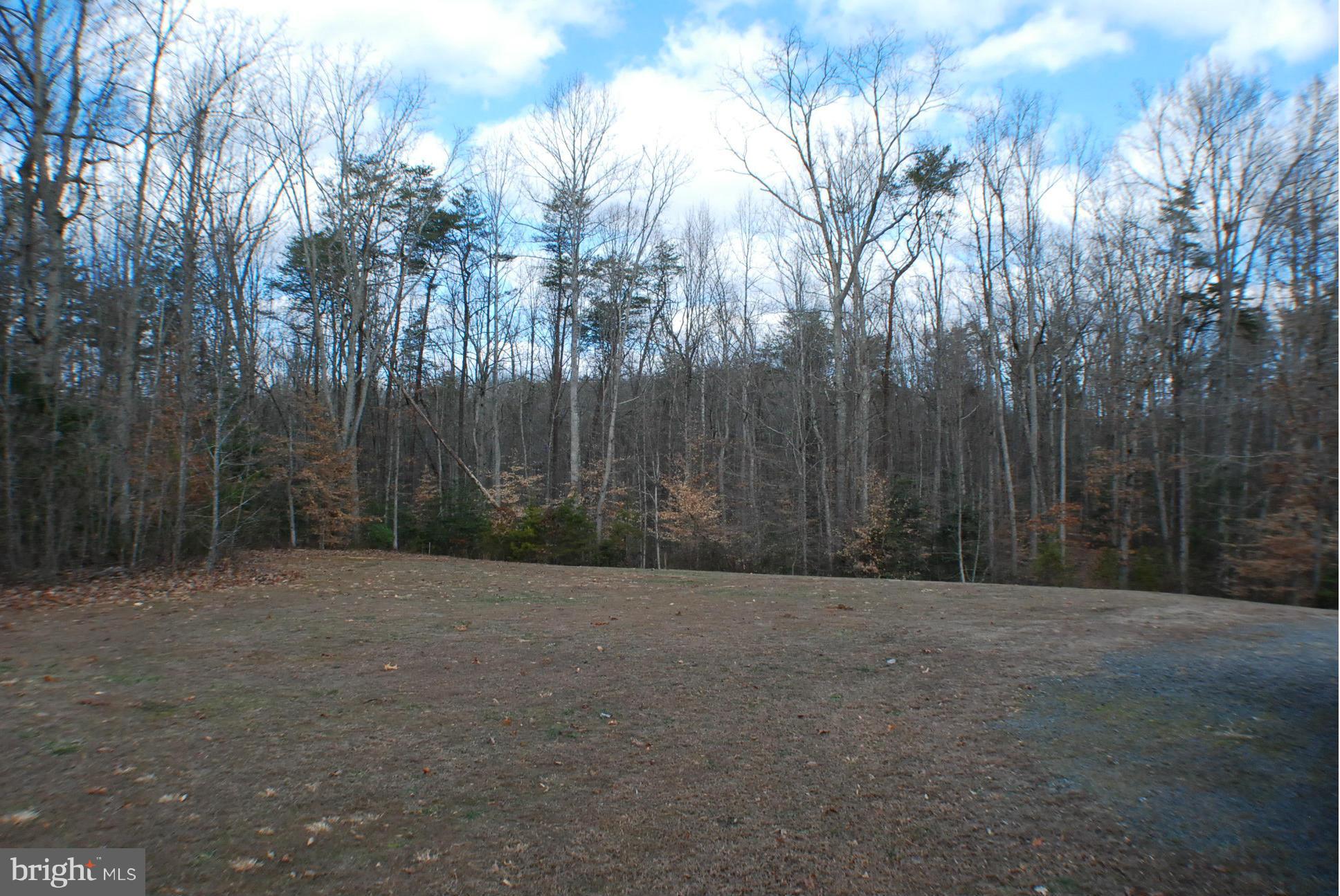 14048 June Roses Lane Sumerduck, VA 22742 - Photo 22 of 30 Backyard View 2