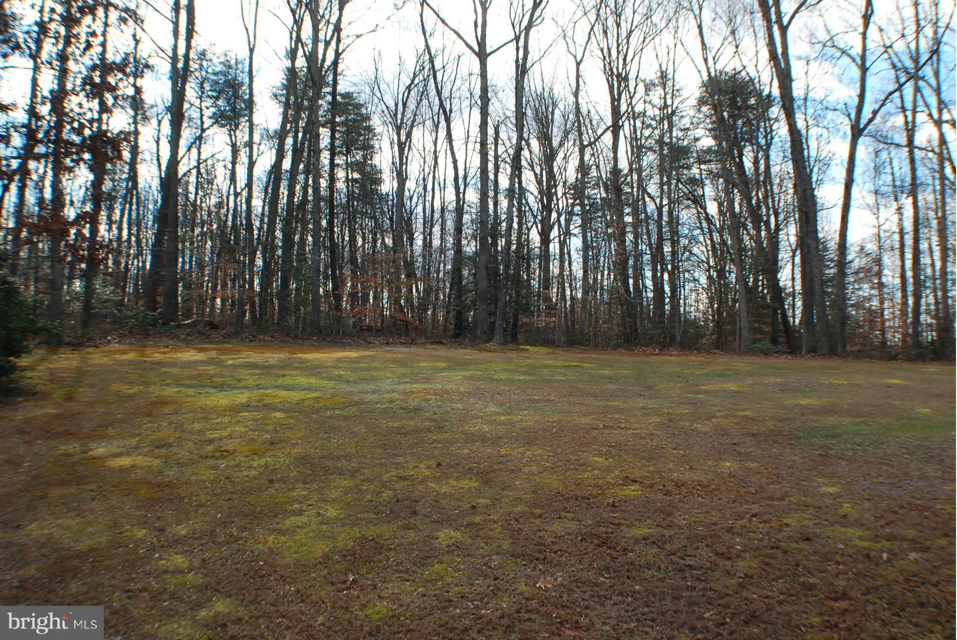 14048 June Roses Lane Sumerduck, VA 22742 - Photo 26 of 30 Yard View