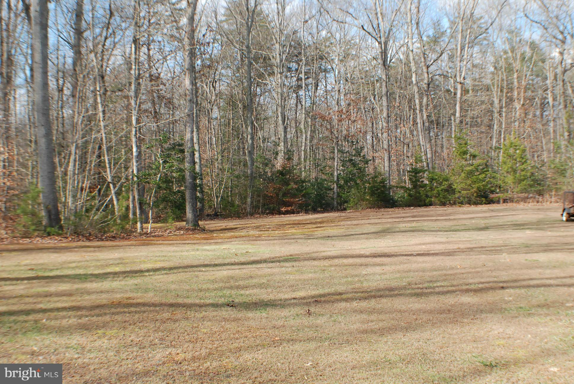 14048 June Roses Lane Sumerduck, VA 22742 - Photo 28 of 30 View side yard