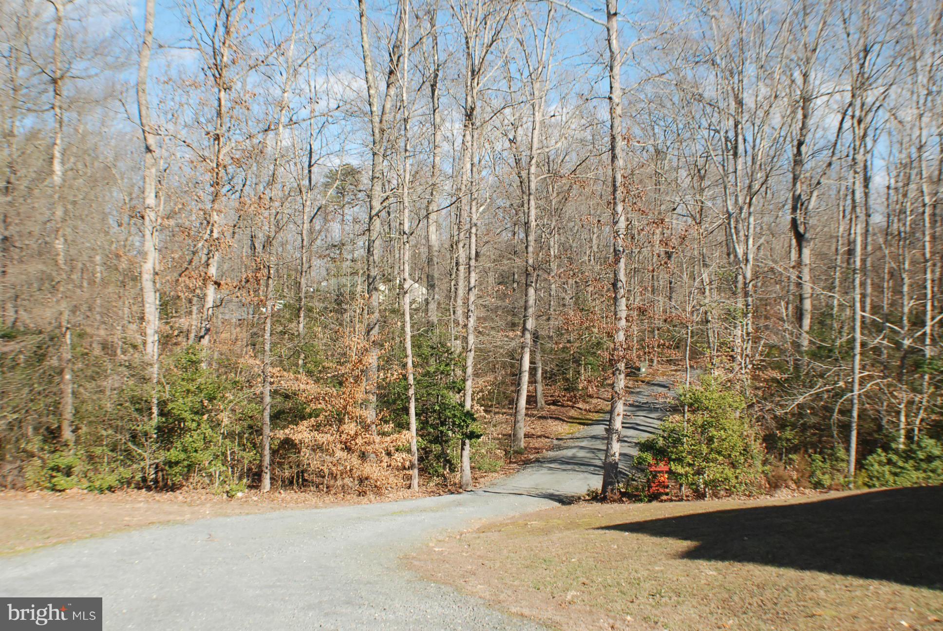 14048 June Roses Lane Sumerduck, VA 22742 - Photo 30 of 30 Exterior (General) Driveway