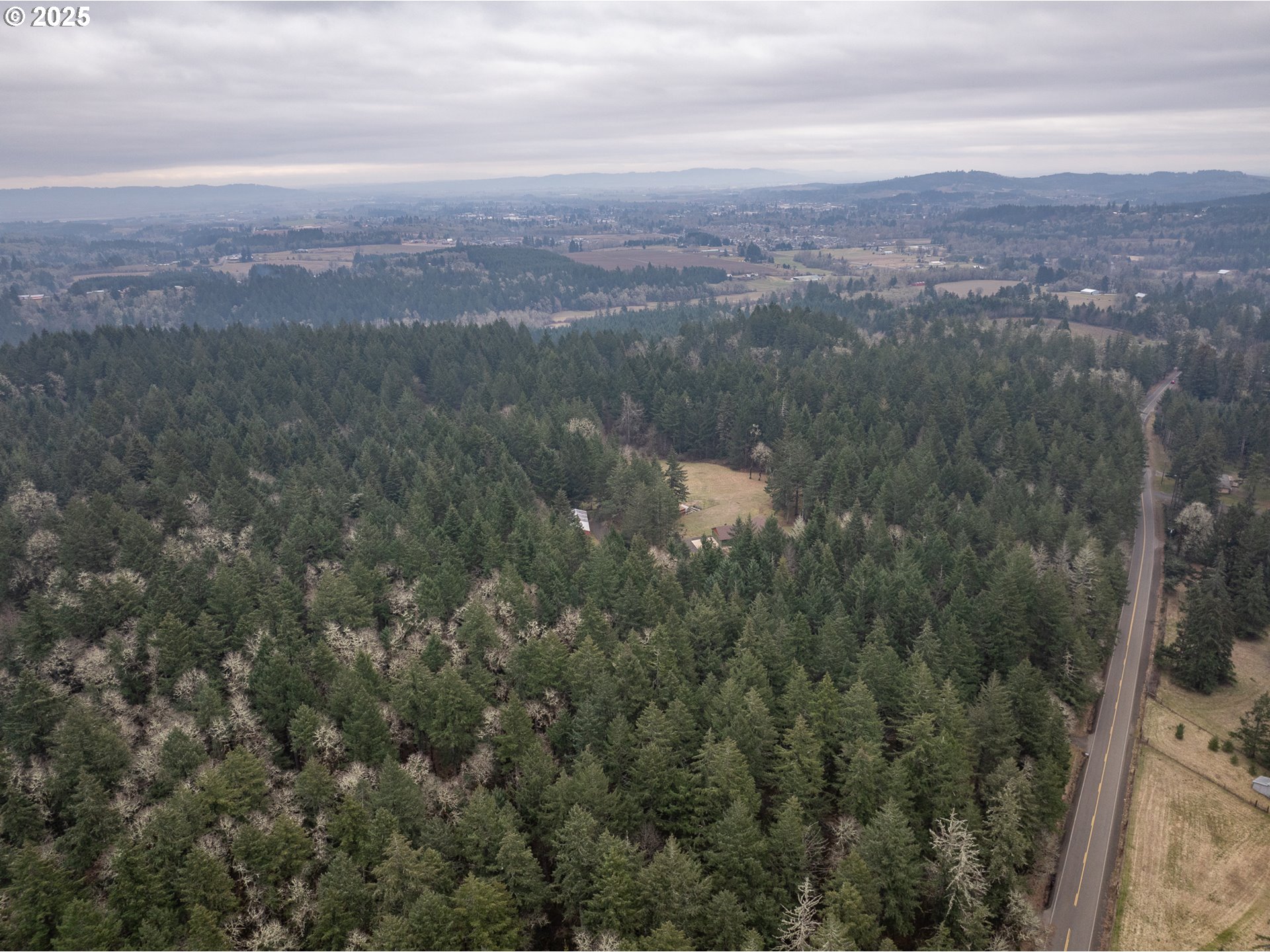 412 Reuben Boise Road Dallas, OR 97338 - Photo 7 of 48 a view of city and mountain
