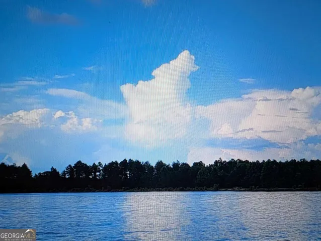 a view of a tree with a plant