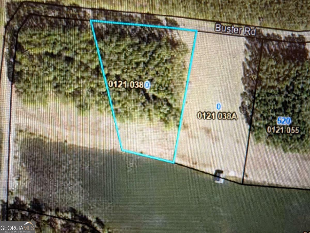 0 Jimmy Ree Lane Bristol, GA 31518 - Photo 2 of 7 a view of a tree with a plant