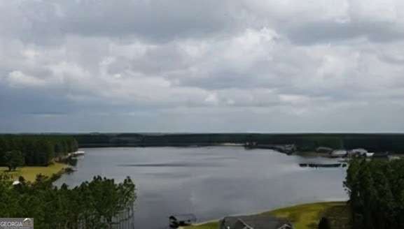 0 Jimmy Ree Lane Bristol, GA 31518 - Photo 5 of 7 a view of a lake