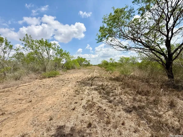 $125,000 | Lot 4 Fm 1332, Jourdanton, TX 78026
