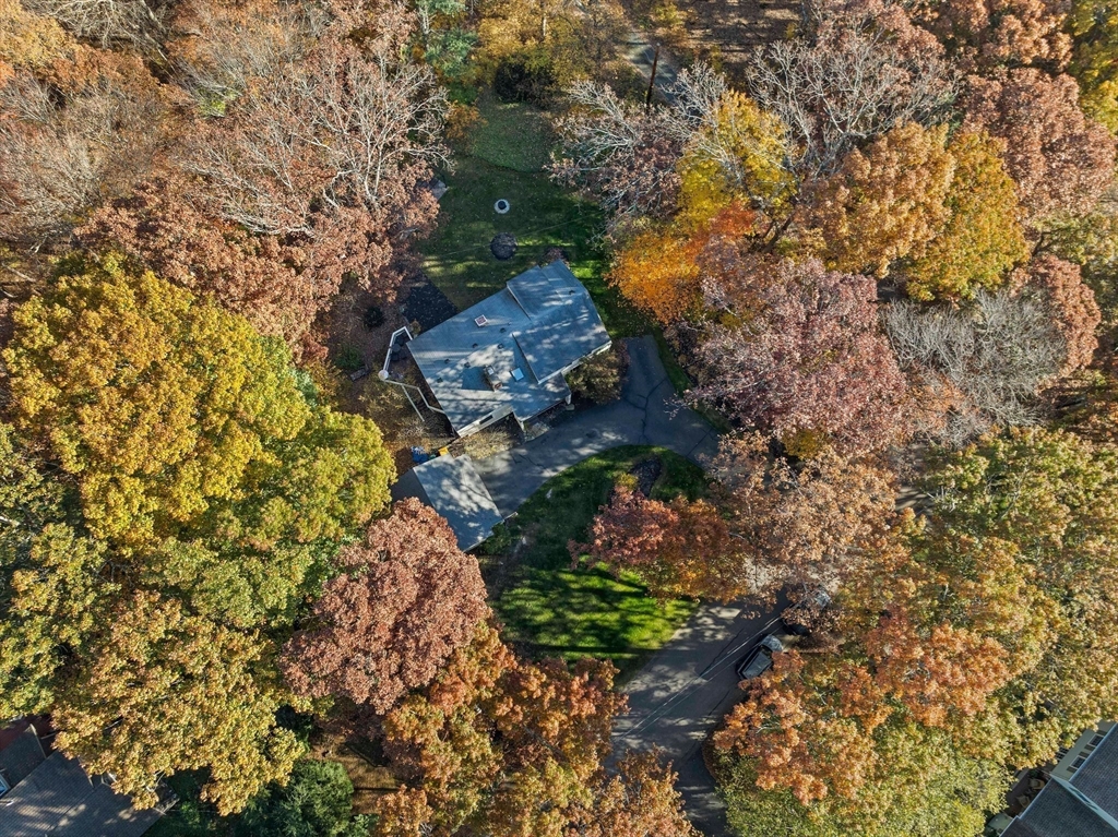 24 Pammys Path Easton, MA 02356 - Photo 10 of 39