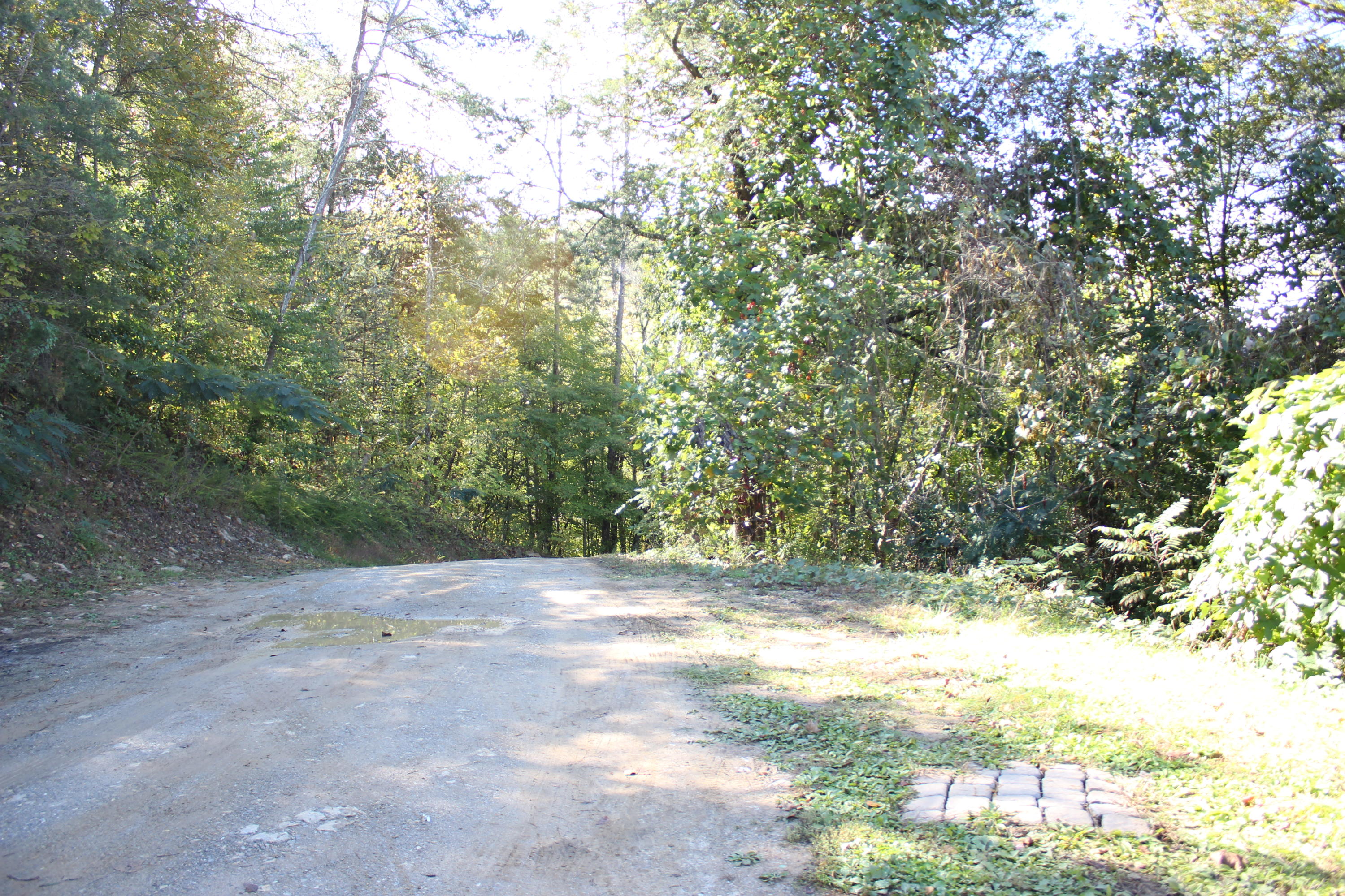 110 Old Springs Road Maynardville, TN 37807 - Photo 25 of 27 IMG_2280
