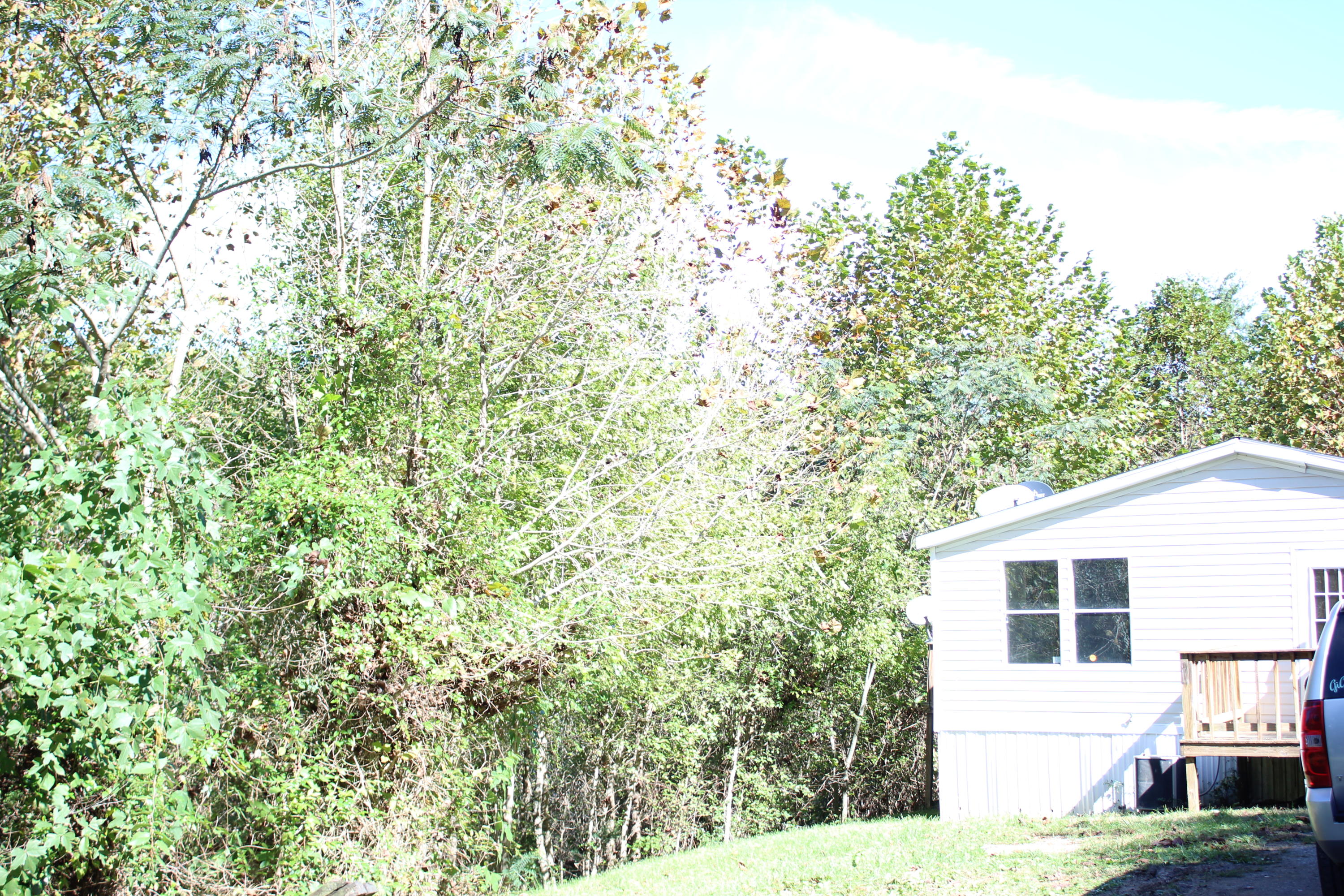 110 Old Springs Road Maynardville, TN 37807 - Photo 26 of 27 IMG_2281