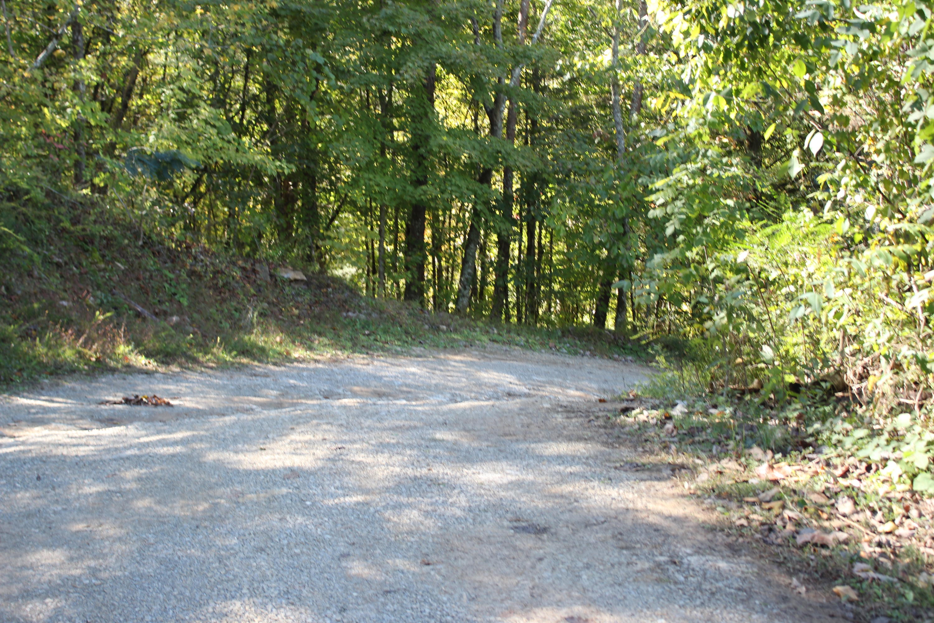 110 Old Springs Road Maynardville, TN 37807 - Photo 27 of 27 IMG_2282